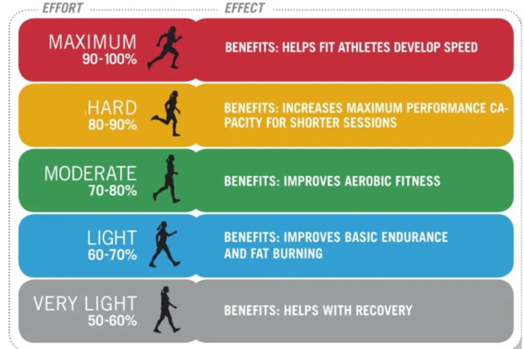 Infographic showing the 5 different heart rate zones.