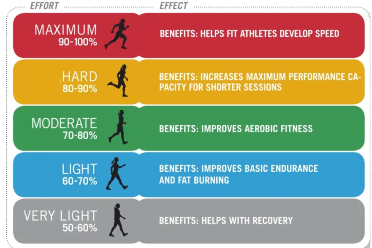 Heart Rate Training Zones | SW7 Academy